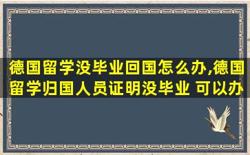 德国留学没毕业回国怎么办,德国留学归国人员证明没毕业 可以办理吗